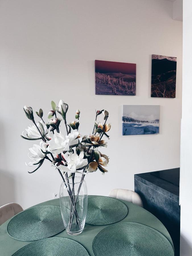 Апартаменты Loft Przy Placu Niepodleglosci Еленя-Гура Экстерьер фото